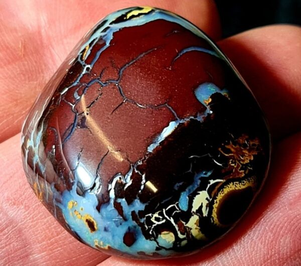 Boulder Opal – Bild 5