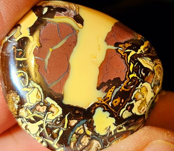 Boulder Opal – Bild 3