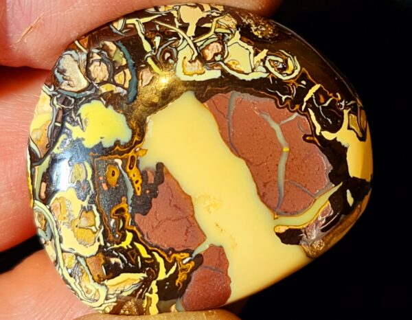 Boulder Opal – Bild 4
